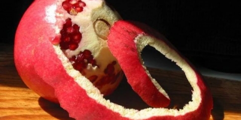 Kora nara: šta pomaže, kako uzimati